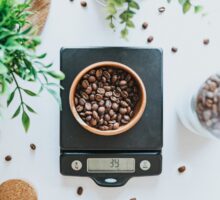 The Best Digital Kitchen Scales